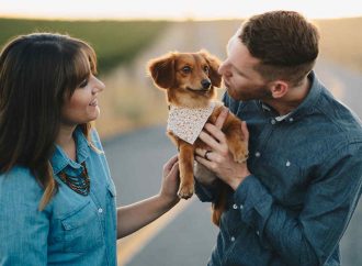 Divorcio y mascotas. Cambios en la Ley de protección animal