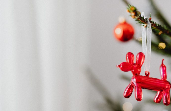 5 cosas imprescindibles sobre seguros en Navidad que deberías revisar antes de las fiestas