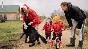 Ley de Bienestar Animal en España: qué cambia y por qué el seguro ya no es opcional